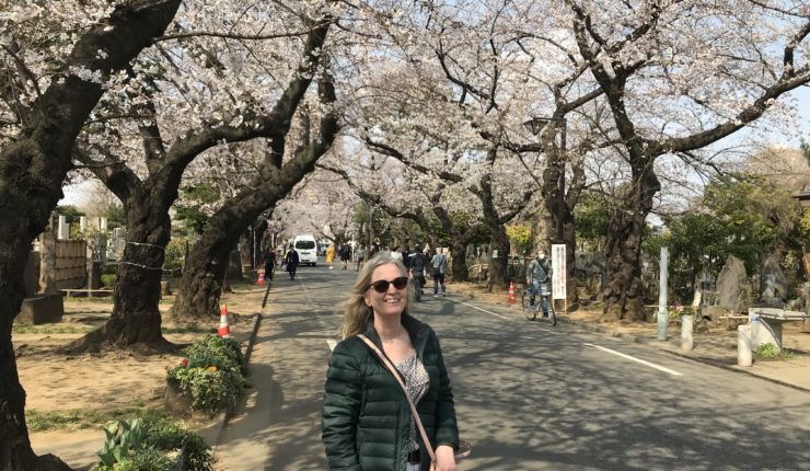 Dag 3 – Yanaka Ginza