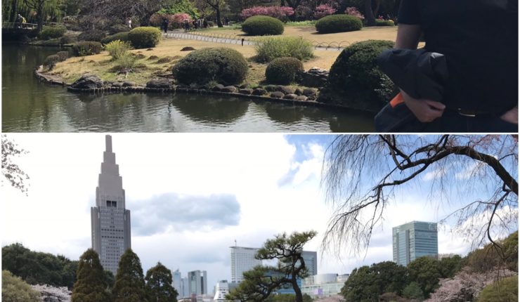 Dag 8 – Shinjuku Gyoen National Garden
