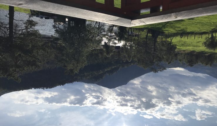 Dag 9 – Flatheim – Heilt heim