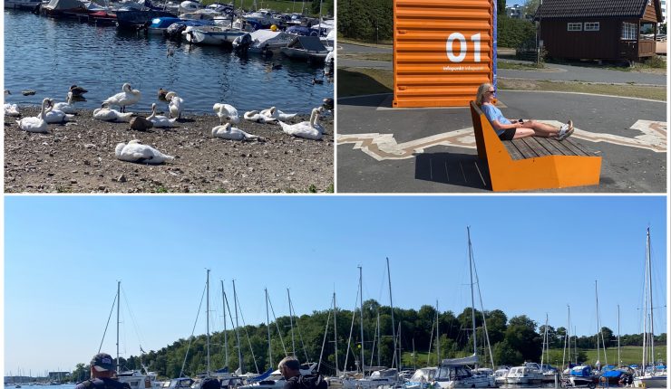 Dag 12 – Oslo og Havnepromenade