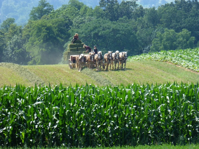 Dag 11 Strasburg, shopping og Amish middag
