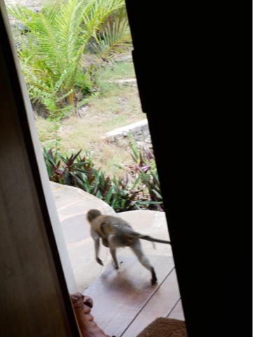 Dag 8 og 9 – Tiwi Beach