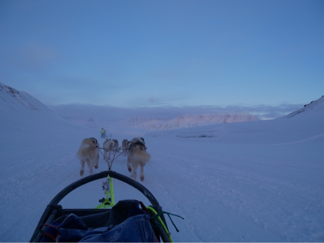 Dag 4 – Hundesledetur