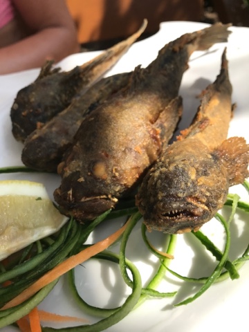 Dag 14 – The last supper