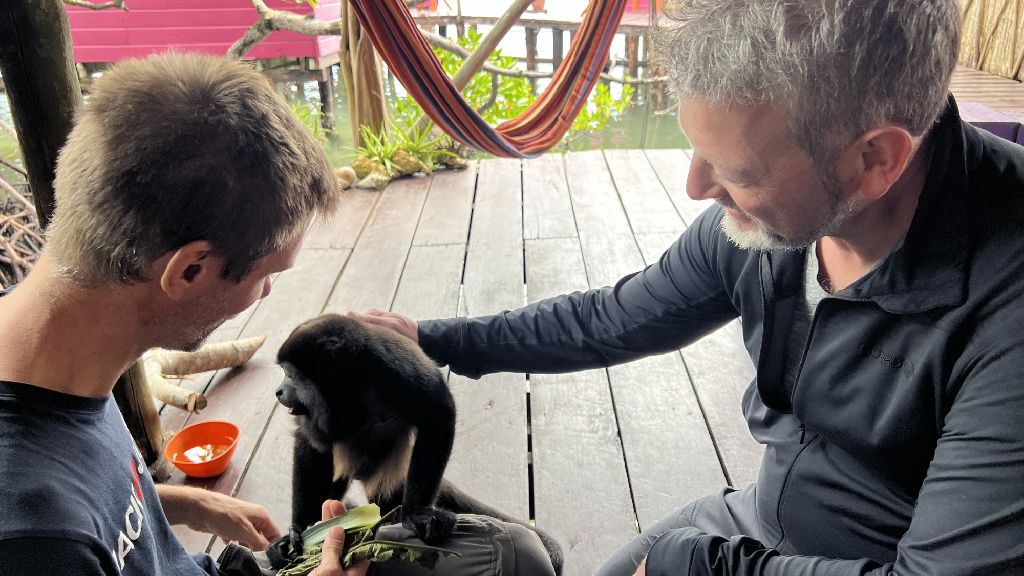 Dag 4 – Bastimentos Island, Monkey Island